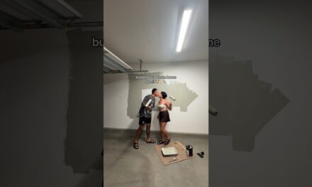 We Built Our Own Home Gym!!!