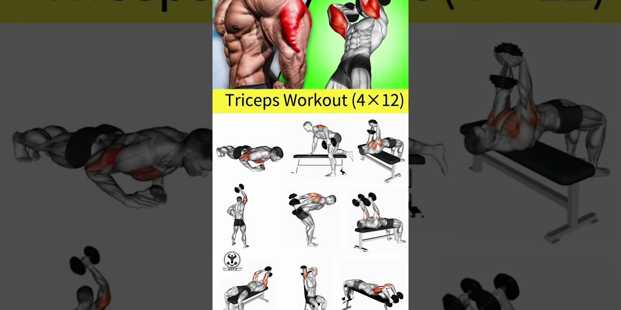 triceps workout at gym | tricep workout | triceps exercises | Build bigger Triceps !! #arms #triceps