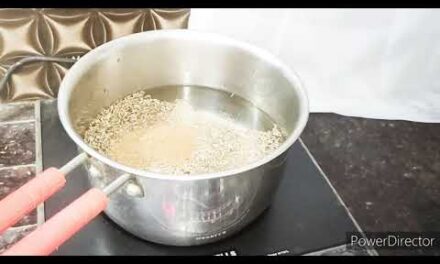 3 fat burning drink – weight loss recipes | fat burning tea | homemade drinks to lose belly fat