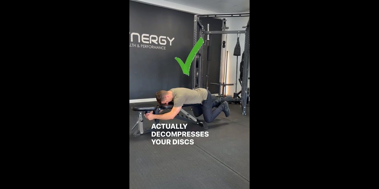 BEST way to STRENGTHEN LOWER BACK MUSCLES #lowerbackexercises #lowerbackpain