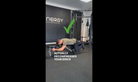 BEST way to STRENGTHEN LOWER BACK MUSCLES #lowerbackexercises #lowerbackpain