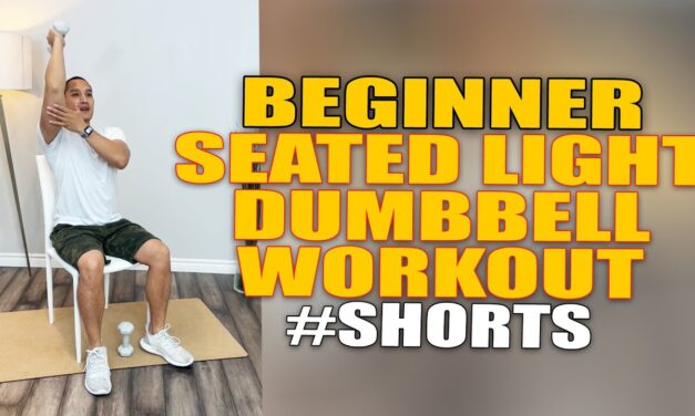 Beginner Seated Light Dumbbell Workout