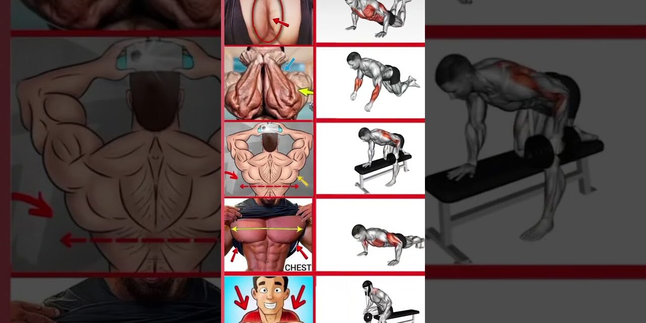 Full body workout tips#gym#shorts#trending#motivation #r2xfitnesstips #strongabs #abs #gymworkout