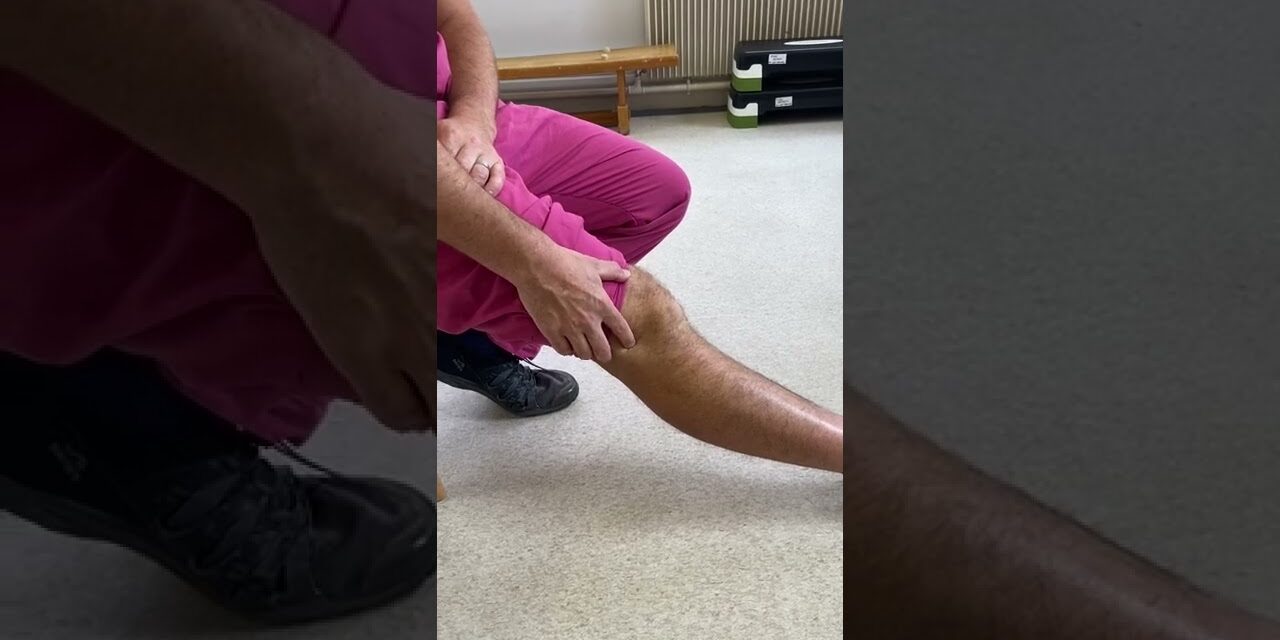 Lateral Collateral Ligament Sprain