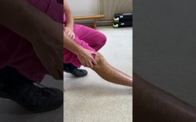 Lateral Collateral Ligament Sprain