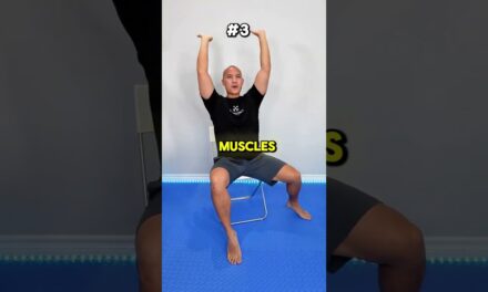 Low Impact Chair Workout for Beginners and Seniors