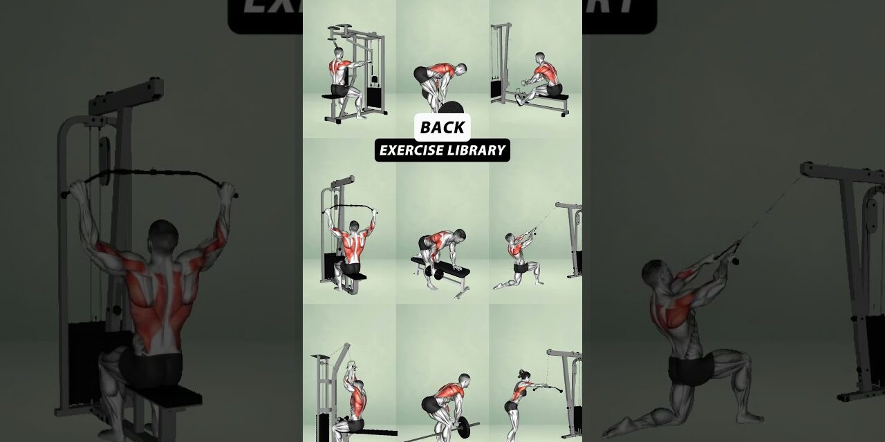 Ultimate Gym Back Workout for a Stronger Body – No Excuses #gym #yoga #buildmuscle #workout