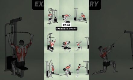 Ultimate Gym Back Workout for a Stronger Body – No Excuses #gym #yoga #buildmuscle #workout