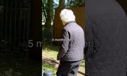 What 5 Months of Strength Training Can Do at 82!