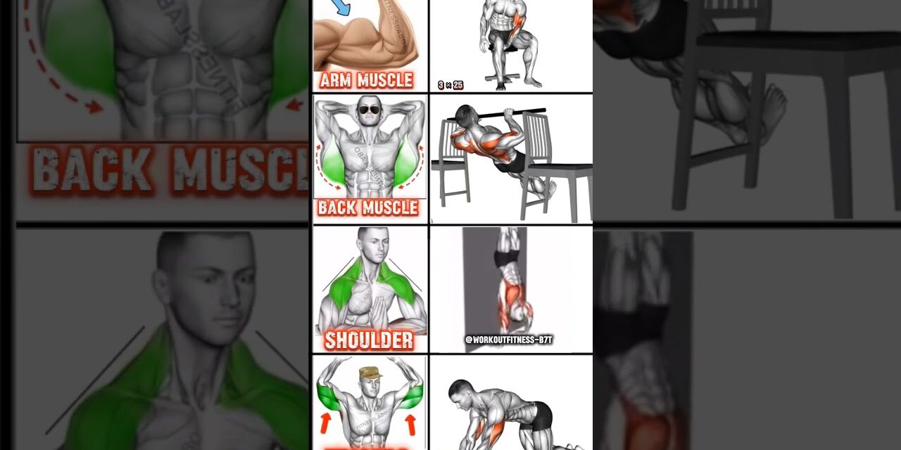 best home workout shoulder, triseps, backmuscle, and arm #shoulder #calistenia #motivation #fitness