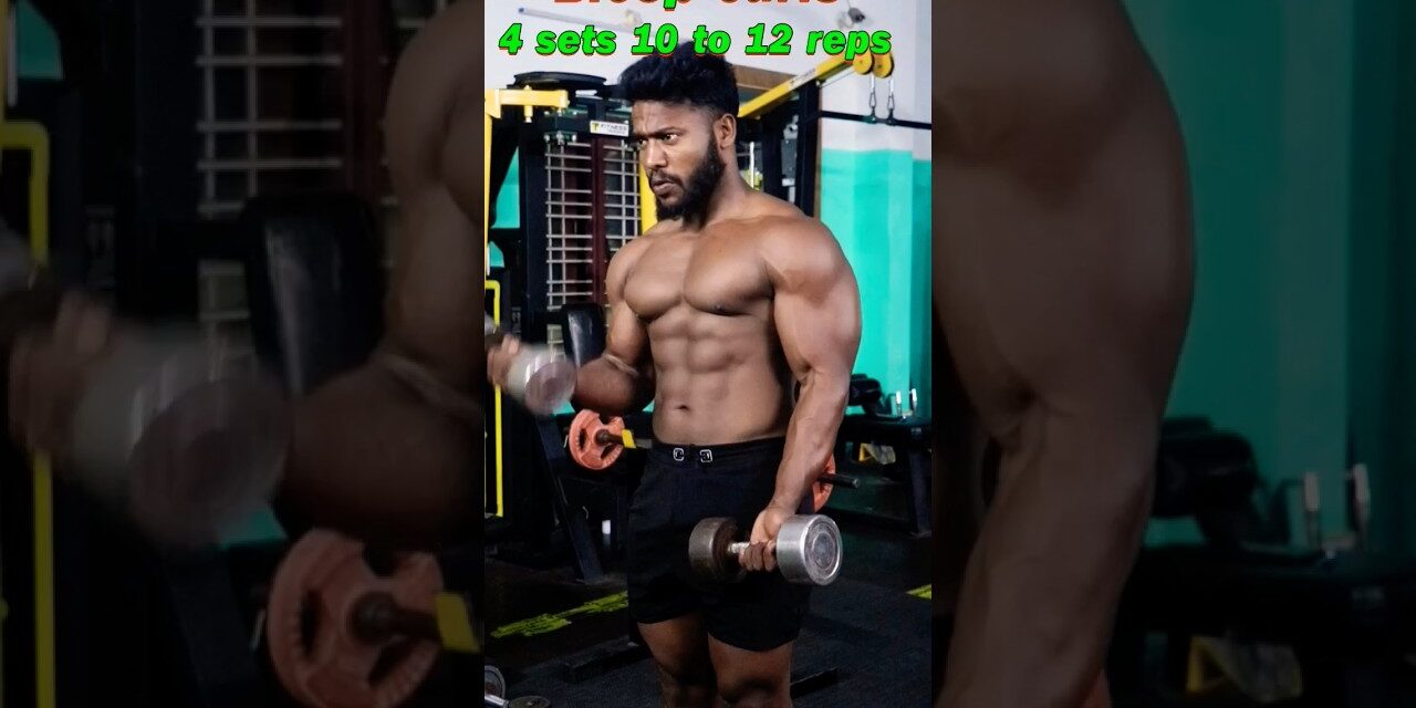 bicep workout beginners #shortvideo #fitness #trending #viralvideo #gymmotivation #newshorts #viral