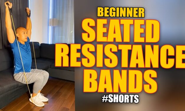 Beginner Seated Resistance Bands Workout
