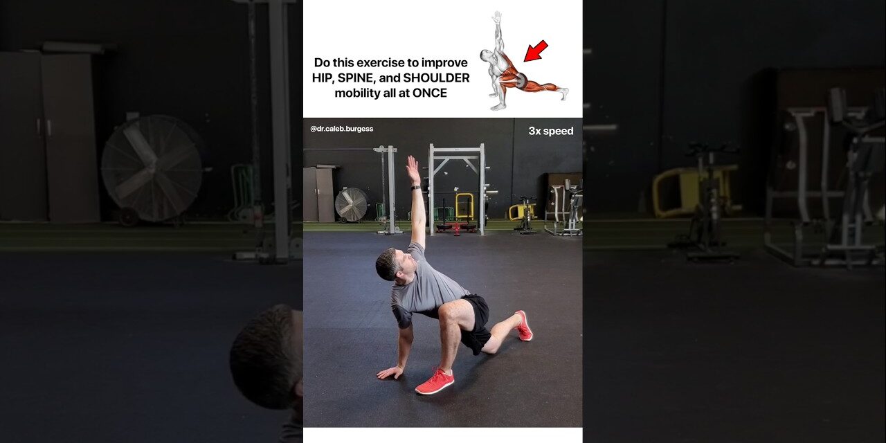 The World's Greatest Stretch – Full Body Mobility