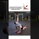 The World's Greatest Stretch - Full Body Mobility