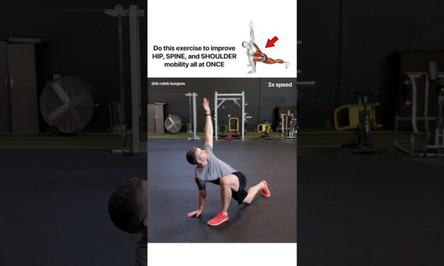 The World's Greatest Stretch – Full Body Mobility